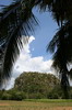Cuba - Vi�ales - Mogote solitaire