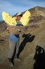 Indon�sie - Kawah Ijen (Java) - Courageux porteur