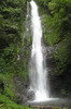 Indon�sie - Munduk (Bali) - Cascade