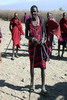 Kenya - Tanzanie - Parc National d'Amboseli - Masa�