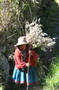 P�rou - Cordill�re blanche - Vieille paysanne