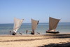 Madagascar - Ifaty - Pirogues à voile