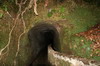 Randonne  Madre - Queimadas - Sortie du tunnel